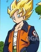 Orange Jacket and White Vest Set for SHF Goku