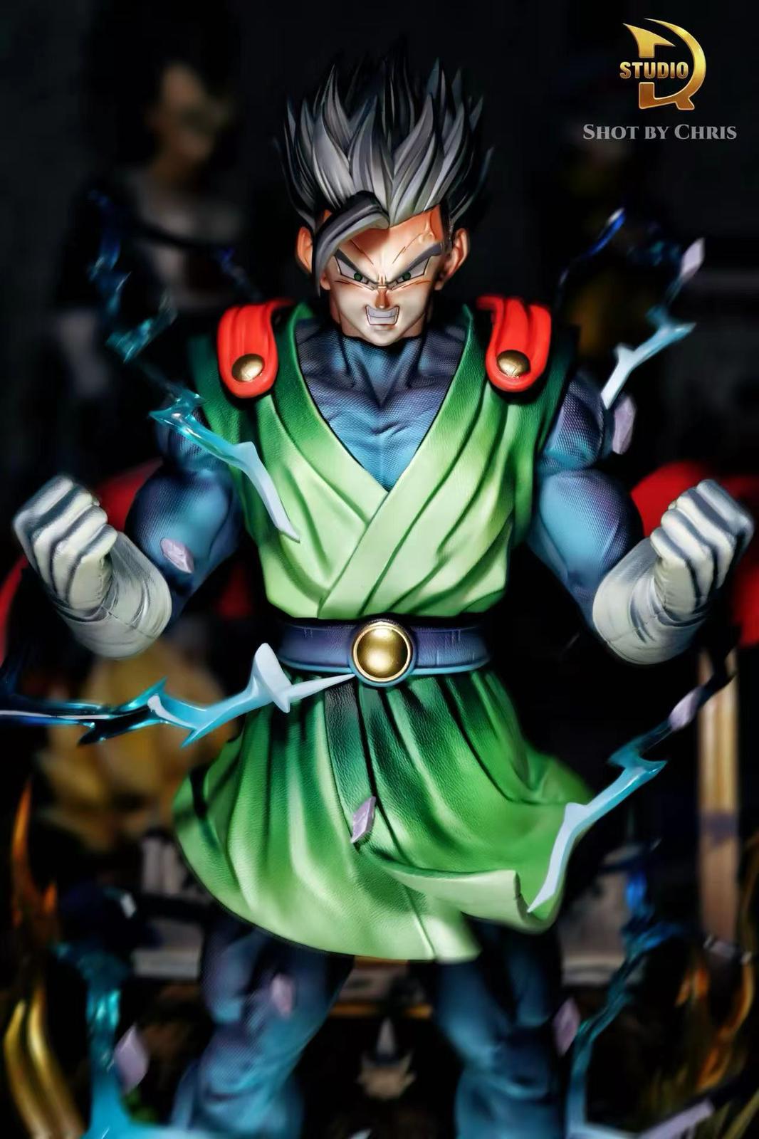 TDR Studio DBZ 1/6 Gohan Resin Statue (pre-order)