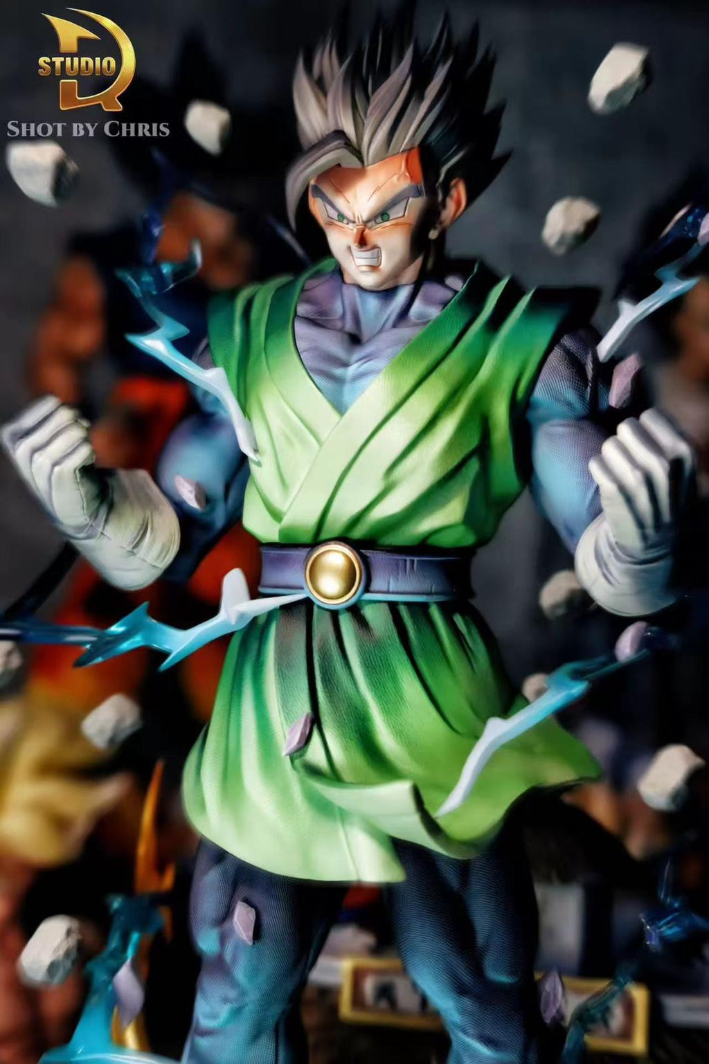 TDR Studio DBZ 1/6 Gohan Resin Statue (pre-order)